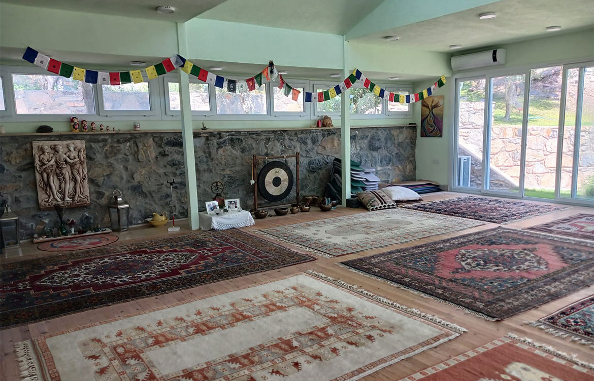cigdem-sari-fraser-13